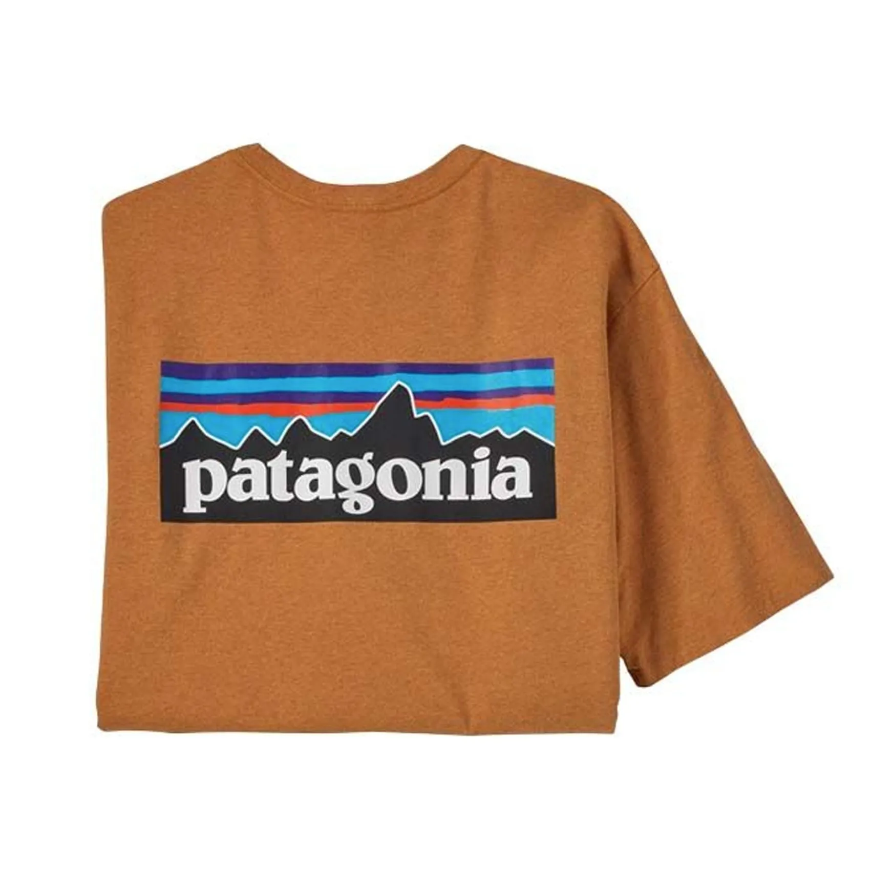 Mens Patagonia P-6 Logo Responsibili-Tee