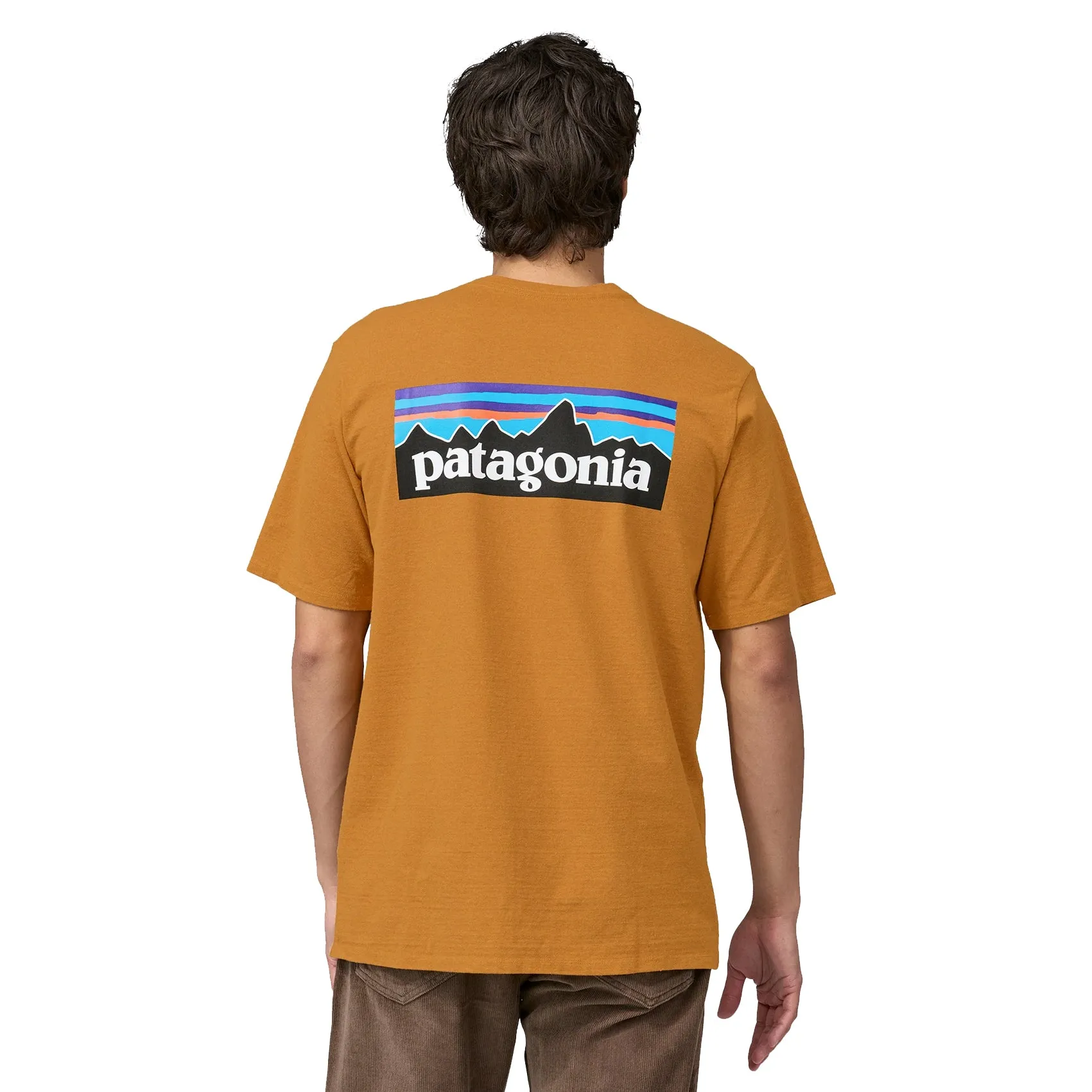 Mens Patagonia P-6 Logo Responsibili-Tee