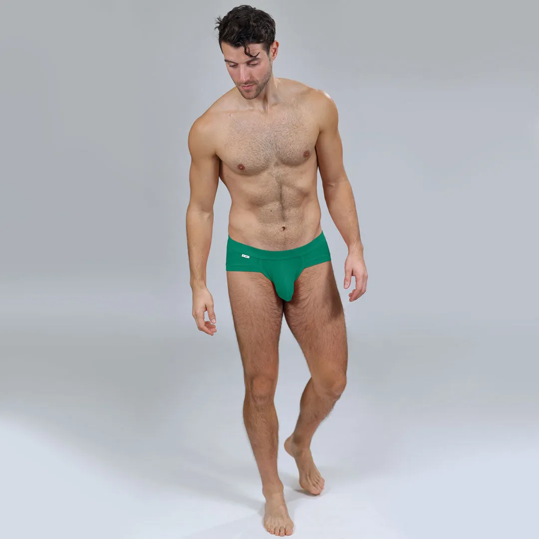 The Earth Green Brief