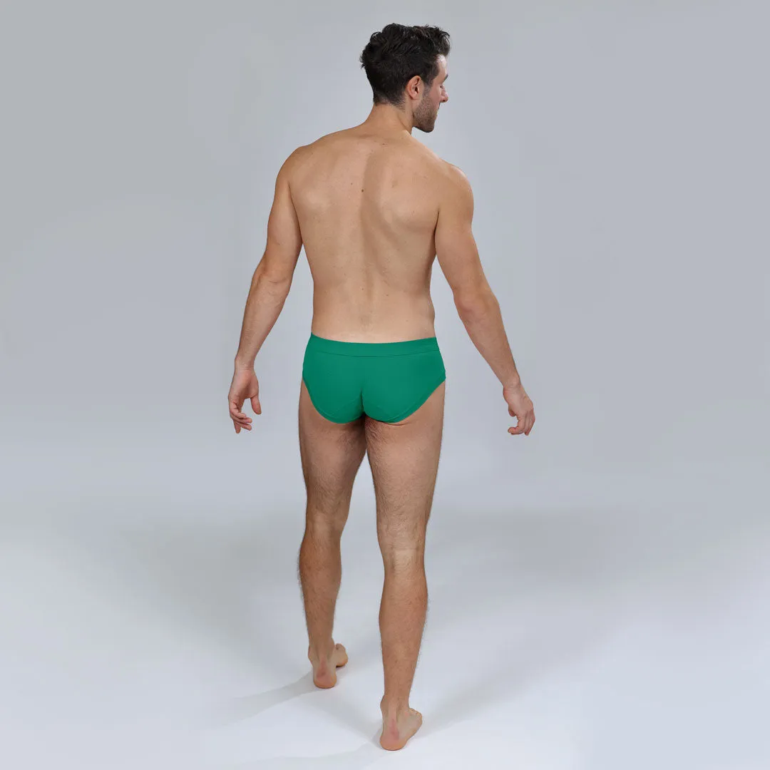 The Earth Green Brief